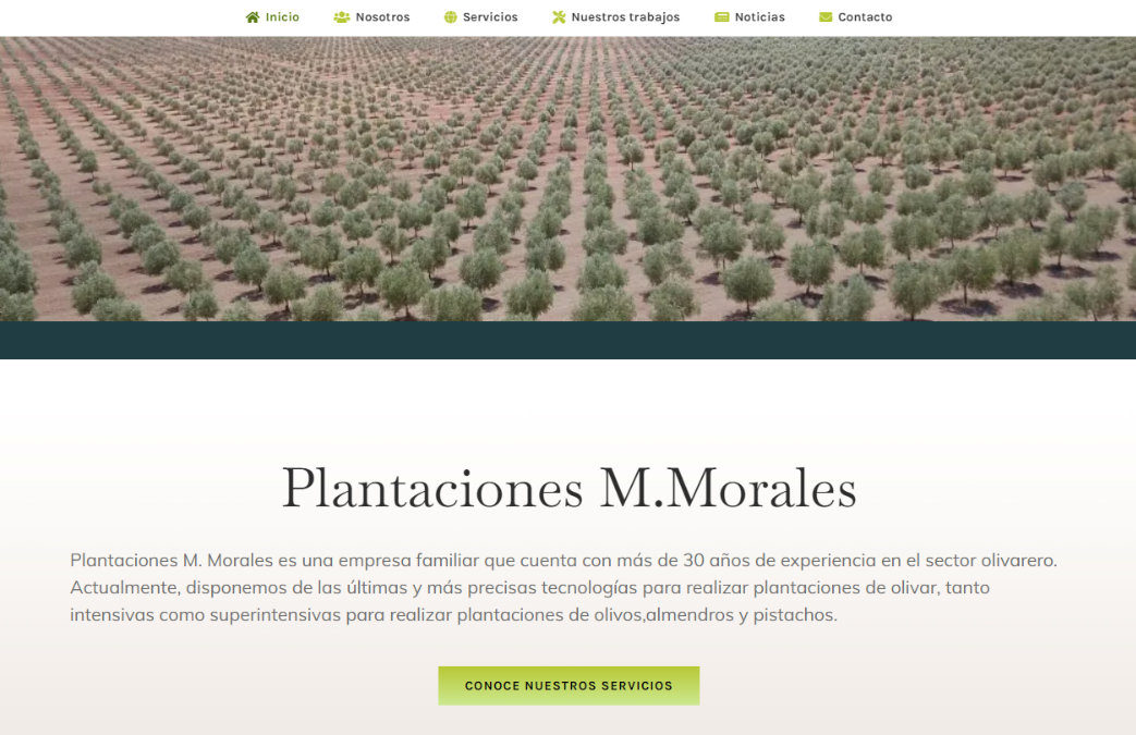 Plantaciones M. Morales
